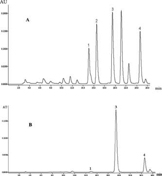 Figure 2 HPLC chromatograms (A, detected at 254 nm; B, detected at 360 nm) of a flavonoid extract from Sophora japonica. fruits (stage 8). 1, genistin; 2, sophorabioside; 3, rutin; 4, kaempferol 3-rutinoside. See text for chromatographic conditions.