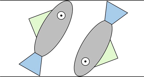Figure 1. Schematic representation of the dipolar ordering of the two chiral and polar ‘fishes’ in the tilted SmC* phase as originally proposed by de Gennes. If the fins of both ‘fishes’ point in the direction of the neighbouring layer boundary, the transverse dipoles of the ‘fishes’ are parallel and point in the direction perpendicular to the tilt plane.