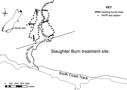 Figure 2  Location of the Slaughter Burn field trial at Waitutu Forest, Fiordland National Park, New Zealand. Tracking tunnel lines and PAPP bait stations are marked.