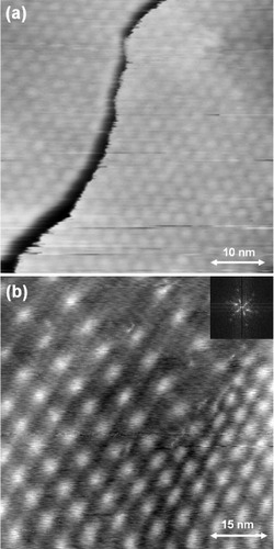 Figure 6 STM images of peculiar Moiré patterns formed on graphite(0001) terrace on a 0.4% C-doped Ni(111) substrate measured with a Pt–Ir tip. (a) STM image indicating Moiré patterns formed near a nanotrench on a graphite(0001) terrace (Vs=−0.2 V, It=0.5 nA). (b) An STM height image showing a non-uniform Moiré pattern with a varying periodicity, formed on a graphite(0001) terrace (Vs=0.5 V, It=0.5 nA). The insert is an FFT image of (b) indicating a continuously changing periodicity in reciprocal space.