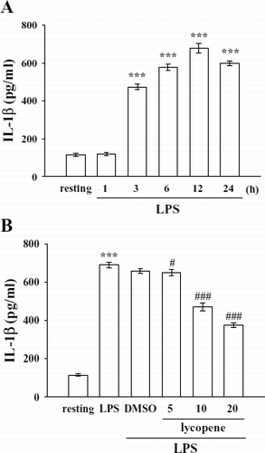 Figure 2  Effect of lycopene on IL-1β production in LPS-activated microglia. Microglia (5 × 105cells/mL) were treated with (A) LPS (100 ng/mL) at the indicated times (1–24 h) OR (B) various concentrations of lycopene (5, 10, and 20 μ M) or an isovolumetric solvent control (0.1% DMSO) for 30 min, followed by the addition of LPS (100 ng/mL). Cell-free supernatants were assayed for IL-1β production as described in “Materials and Methods.” Data are presented as the means ± SEM. (n = 4). ***p < 0.001 compared with the resting group; # p < 0.05 and # # #p < 0.001 compared with the LPS-treated group.
