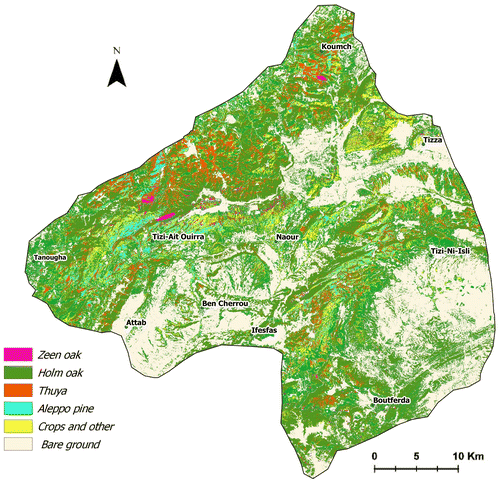 Figure 3. Forest stand map for 2001. Source: Author.