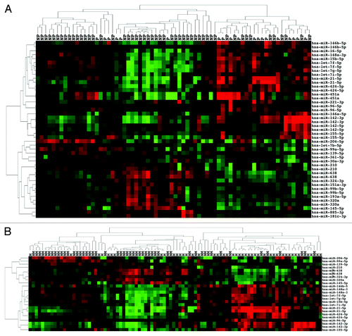 Figure 4. miRNA expression can distinguish de novo metastatic ccRCC as well as de novo non-metastatic ccRCC that subsequently progressed. (A) Unsupervised two-dimensional hierarchical clustering with a data matrix of 46 probes in 70 ccRCC (51 NP and 19 P). (B) Unsupervised two-dimensional hierarchical clustering with a data matrix of 24 probes in 94 ccRCC (51 NM and 43 M).