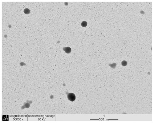 Figure 2 NP2 TEM image (36000× magnification).Abbreviations: NP, nanoparticle; TEM, transmission electron microscopy.