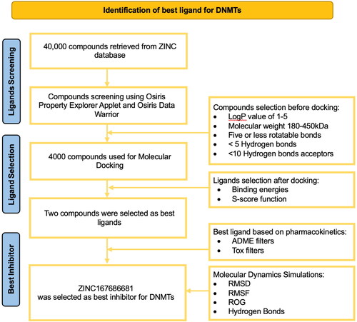 Figure 2. Overall workflow showing the criteria used for screening and the outcomes at various stages.