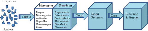 Figure 3. Schematic diagram of a biosensor.