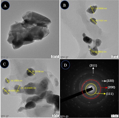 Figure 4. (A-C) displays a HRTEM image of a region of the sample, while Figure s (B) and (C) show the size distribution of the nanoparticles. (D) SAED image of VJ@AgNPs.