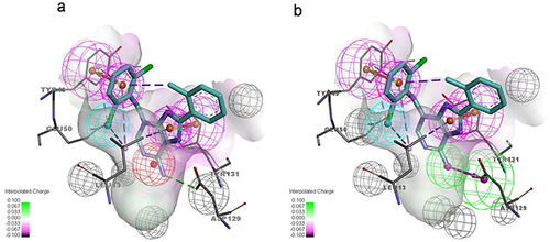 Figure 2 The pharmacophore models generated based on protein–ligand interactions. (a) Pharmacophore model consisted of aromatic rings (purple), hydrophobic feature (blue) and ionizable feature (red); (b) Pharmacophore model consisted of aromatic rings (purple), hydrophobic feature (blue) and hydrogen bond donor (green).