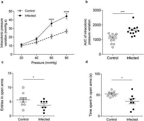 Figure 2. Post-infectious visceral sensitivity and anxiety-like behavior induced by C. rodentium.