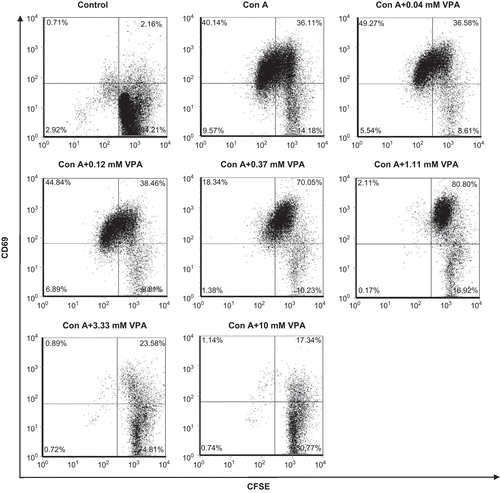 Figure 2.  Effect of valproic acid (VPA) on CD69 expression on the cell surfaces of activated lymphocytes. Cells were stimulated with concanavalin A (ConA) for 72 h in vitro in the presence or absence of VPA. CD69 surface expression on the cells was determined by flow cytometry. Data are one of three independent experiments.