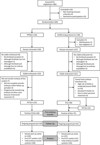 Figure 1 A flow chart of the patient allocation in an RCT of PPOS versus GnRHa-long protocol.