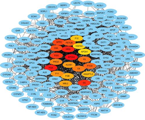 Figure 6 Protein-protein interaction network and the selected hub genes from the integrated genes. Blue nodes represent genes. Edges represent the associations. Red and yellow nodes represent hub genes.