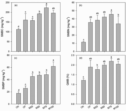 Figure 3. Effects of different OSRs on microbial biomass C (SMBC), N (SMBN), P (SMBP), and SMBC/SOC (QMB). Error bars mean standard deviations (n = 3). Different letters above the bars indicate significant differences (P < 0.05) in SMBC, SMBN, SMBP, and QMB among treatments.