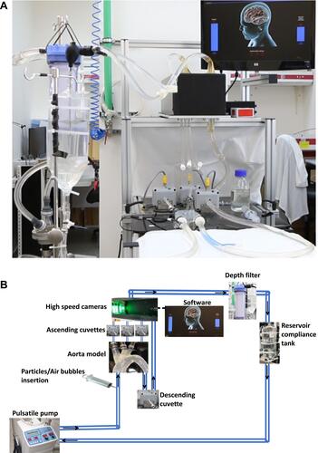 Figure 2 The in vitro efficacy simulator. (A) real and (B) Schematic presentation of the efficacy simulator. Black arrows indicate flow direction.