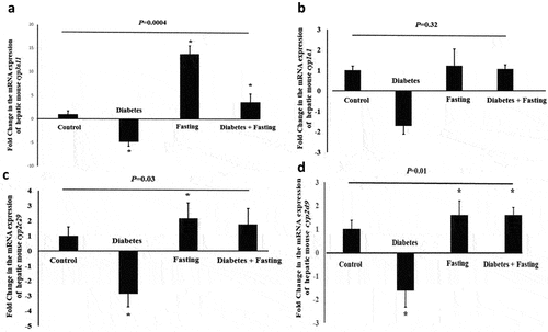 Figure 7. Effects of diabetes and fasting on the mRNA expression of mouse DME genes in the liver. a: the expression of cyp3a11, b: the expression of cyp1a1, c: the expression of cyp2c29, d: the expression of cyp2d9. Values are represented by mean ± SD. ‘*’ indicates statistical significance with P value < 0.05. Further details are in the method section.