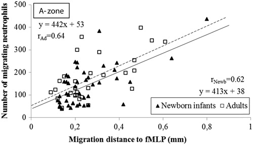 Figure 5. Correlation of the distance and the number of neutrophils migrating to different gradients of fMLP in the A-zone. The distance the cells migrated was measured from the edge of the well to the edge of the leading cell front. The correlation coefficients in newborn infants was r = 0.62 and r = 0.64 in adults (n = 5; P < .001, respectively). Note the comparable incipient migration and the equidistant migration in neonates and adults.