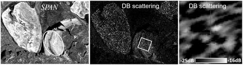 Figure 8. (a) SPAN image of the 14 November scene showing rafted ice with high SPAN within the ellipse, (b) the DB scattering power (Pd), and (c) an enlargement of the area in the white box in (b).