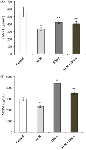 Figure 4. Production of osteoclastic factors. G292 osteosarcoma cells were incubated for 24 h with ALN (5 nM) and/or IFN-γ (1,000 U/mL) under the conditions described in the text. Controls were incubated under identical conditions without added agents. (A) RANKL Production. Measurements were made with a ELISA assay specific for RANKL and results are expressed as the mean pg/mL ± SEM with n = 4 samples per group. Both ALN and IFN-γ alone produced decreases compared to controls with ALN having a slightly greater decrease. The combination treatment of ALN and IFN-γ did not modify the decrease observed with IFN-γ alone. *p < 0.01 vs. untreated control. **p < 0.01 vs. in the presence of ALN alone. (B) MCP-1 Production. Measurements were made with a ELISA assay specific for MCP-1 and results are expressed as the mean pg/mL ± SEM with n = 4 samples per group. ALN alone produced significant decreases compared to controls while IFN-γ alone produced significant increases. The combination of ALN and IFN-γ resulted in a significant attenuation of the IFN-γ effect. *p < 0.01 vs. untreated control. **p < 0.01 vs. in the presence of IFN-γ alone.