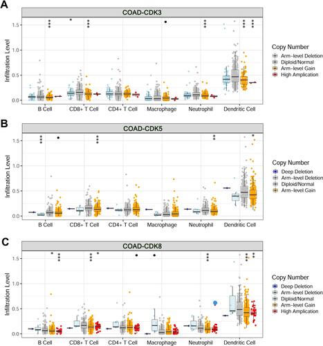 Figure 8 Changes in somatic copy number of CDKs in COAD.Correlations between CDK3 (A), CDK5 (B) and CDK8 (C) somatic copy number alterations and dominant immune cells infiltration levels. •p<0.1, *p<0.05, **p<0.01, ***p<0.001.