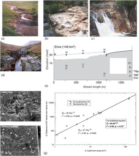 Figure 6. Bedrock river long profiles and knickpoints at different scales. (a)-(d) (Kim, Citation2004) show knickpoints on the River Etive, Scotland, including sculpted bedforms (b) and incision below a strath terrace (d). (e) is part of the long profile of the River Etive, showing exposed bedrock (grey shading), alluvial cover (thick grey line) and strath terraces (dashed line). 10Be exposure ages of the strath terrace are plotted on the right y-axis. From Jansen et al. (Citation2011). (f) SEM images (Kim, Citation2004) of bedrock plates from the River Etive following abrasion tests in a tumbling mill. Number on the upper image indicate different minerals (1 – feldspar; 2 – quartz). Arrows show impact marks from clasts in the tumbling mill. (g) Scaling of knickpoint retreat with catchment area for small streams along the east cost of Scotland (from Bishop et al., Citation2005).