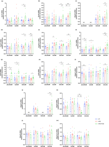 Figure 4. Oligofructose increases the expression of glycosyltransferases involved in mucin glycosylation. mRNA relative expression of glycosyltransferases in the jejunum, ileum, cecum and colon: (a) glucosaminyl (N-acetyl) transferase 1 (Gcnt1), (b) glucosaminyl (N-acetyl) transferase 4 (Gcnt4), (c) UDP-GlcNAc:betaGal beta-1,3-N-acetylglucosaminyltransferase 6 (B3gnt6), (d) core 1 synthase, glycoprotein-N-acetylgalactosamine 3-beta-galactosyltransferase 1 (C1galt1), (e) C1GALT1 specific chaperone 1 (C1galt1c1), (f-h) fucosyltransferase 1/2/8 (Fut1, Fut2, Fut8), (i-l) ST3 beta-galactoside alpha-2,3-sialyltransferase 1/3/4/6 (St3gal1, St3gal3, St4gal4, St3gal6), (m) ST6 N-acetylgalactosaminide alpha-2,6-sialyltransferase 2 (St6galnac2). Data are means ± s.e.m. (n = 7–12/group). Data were analyzed using one-way ANOVA followed by Tukey post hoc test. *P < 0.05; **P < 0.01; ***P < 0.001; ****P < 0.0001. ND = Not Detectable.