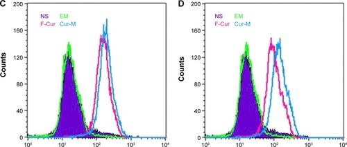 Figure 6 Cell uptake drug assay with FCM.Notes: FCM histograms showing cellular uptake of curcumin and Cur/MPEG-PLA micelles by C6 (A and B) and U251 (C and D) glioma cells at different drug concentrations after incubation for 4 hours. 3.2 μg/mL (A and C) and 6.4 μg/mL (B and D).Abbreviations: FCM, flow cytometry; Cur, curcumin; MPEG-PLA, monomethoxy poly(ethylene glycol)-poly(lactide) copolymer; NS, normal saline; EM, empty micelles; F-Cur, free curcumin; Cur-M, Cur/MPEG-PLA micelles.
