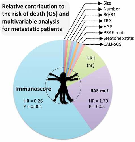 Figure 1. Clinical utility of immunoscore in metastasis. Relative contribution to the risk of death (OS) and Cox multivariateriable analysis for metastatic patients, including the following parameters, size of lesions, number of lesions, surgical margin status (R0/R1), pathological tumor response assessed by tumor regression grading (TRG), histopathological growth pattern (HGP) of liver metastases, molecular status assessed by the presence of BRAF or RAS mutations, chemotherapy-related liver injury (CALI), steatohepatitis, CALI with sinusoidal obstructive syndrome (SOS), CALI with nodular regenerative hyperplasia (NRH), and the consensus immunoscore.