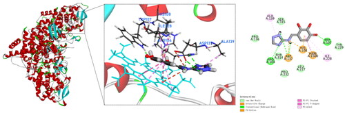 Figure 5. Molecular docking analysis for compound 4.