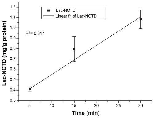 Figure 3 Time course of Lac-NCTD uptake in Caco-2 cell monolayers.Note: Error bars represent standard error of the mean value for three determinations.Abbreviations: Lac-NCTD, lactosyl-norcantharitin; Caco-2, continuous line of heterogeneous human epithelial colorectal adenocarcinoma cells.
