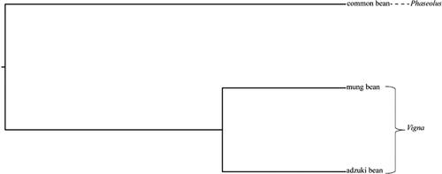 Figure 10. Cluster analysis of test resources.