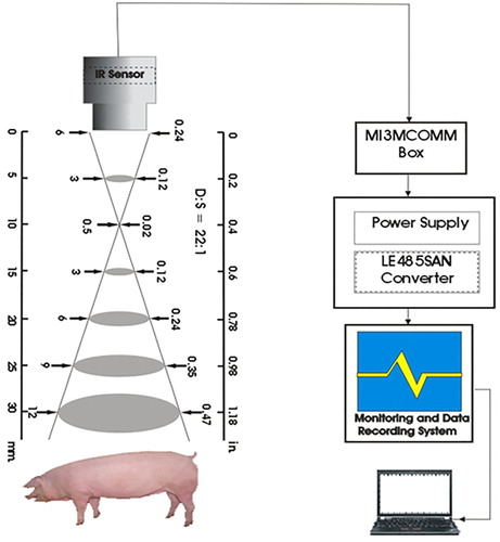 Figure 1. Schematic diagram for measuring pig’s body temperature using IR sensor.