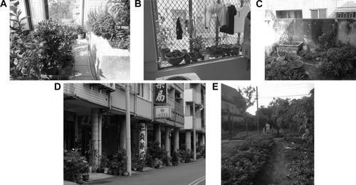 Figure 1 Common gardening types in households without landscaping gardens in Taiwan.