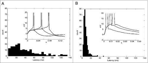 Figure 3. A. Histogram of latencies for delayed spikes evoked by small EPSCs. Inset. Representative traces of delayed spikes. The values are normalized by the baseline. Stars show the spike threshold (dV/dt = 10 mV/ms). B. Histogram of latencies for delayed spikes evoked by big EPSCs. Inset. Representative traces of delayed spikes. The values are normalized by the baseline. Stars show the spike threshold (dV/dt = 10 mV/ms).
