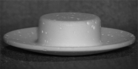 Figure 1 Photograph showing the hydroxyapatite ceramic burr-hole button. In the dome-shaped cap, the plane in contact with the skull is concave in the superior direction.