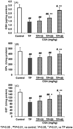 Figure 3. Effects of CGA on hepatic GSH (A), GPx (B) and GST (C) levels in TP-exposed mice. Data are presented as mean ± SD (n = 10). Significant differences compared with the control group were designated as #p < 0.05 and ##p < 0.01, and with TP alone group as *p < 0.05 and **p < 0.01.