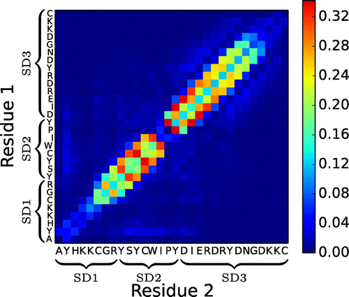 Figure 4. (Colour online) Average number of interpeptide hydrogen bonds per residue–residue pair in the n16N-8 system.