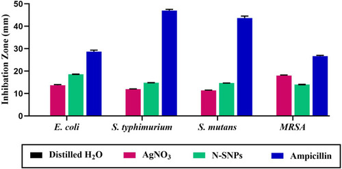 Figure 2 Antibacterial activities of silver nanoparticles synthesized by Nostoc sp. Bahar_M (N-SNPs), AgNO3, and ampicillin against four pathogenic bacteria including Escherichia coli, Salmonella typhimurium, Streptococcus mutans, and methicillin-resistant Staphylococcus aureus.