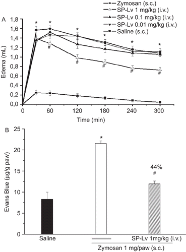 Figure 3.  SP-Lv inhibits the time course of paw edema and the increased vascular permeability induced by zymosan. Zymosan (1 mg) or saline were administered s.c. into animal paws. SP-Lv (1 mg/kg, i.v.) was injected 30 min before zymosan. Edema was measured by hydroplethysmometry before (0 min) and 30, 60, 120, 180, 240 and 300 min after stimuli and expressed as the variation in paw volume (mL) (A). Animals received Evans blue (25 mg/kg; i.v.) and were sacrificed 1 h later. Optical Density (At 600 nm) was estimated and results presented as μg of Evans blue/g of tissue (B). Mean ± SEM (n = 7). ANOVA followed by Duncan test. *p < 0.05 × saline; #p < 0.05 × zymosan.