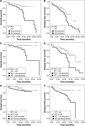 Figure 3 The Kaplan-Meier survival curve for patients with the KRAS gene.