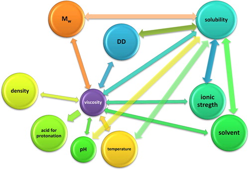 Figure 3. Interdependence between chitosan functionality parameters and intrinsic/extrinsic factors.