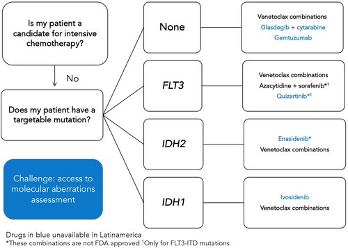 Figure 2. Adapted treatment algorithm for patients with acute myeloid leukemia who judged not to be candidates for intensive chemotherapy.