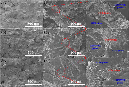 Figure 3. SEM micromorphology of UG Compound and UGC composites with 5 phr CCB content: U30G70 (a), U50G50 (b), U70G30 (c), U30G70C5 (a1), U50G50C5 (b1), U70G30C5 (c1). the red circle area is the SEM× 5k magnification images of the corresponding composites.