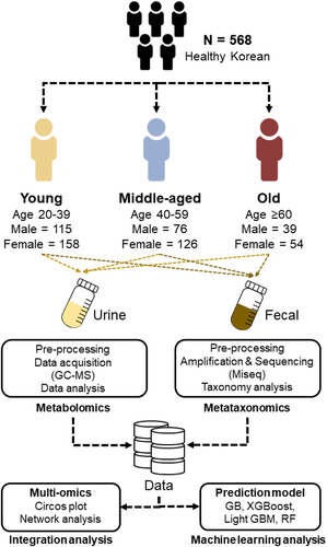 Figure 5. Sample characteristics and workflow of young, middle-aged, and old groups.