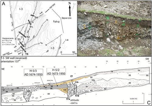 Figure 2. Example of a typical trench site excavated across the Alpine Fault where it transects alluvial landforms. A , Alpine Fault traces and trench sites (T1–T5) at Inchbonnie on the North Westland section. B , Photograph showing the shear zone of the Alpine Fault exposed in the southwest wall of T5. C , Stratigraphic and geochronological constraint for the most recent event at this location (see text for description).