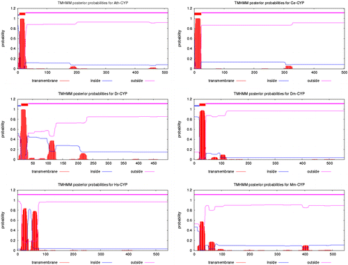 Figure 5. Prediction of transmembrane helices in Ath-CYP and other samples of organisms by the TMHMM 2.0 server.
