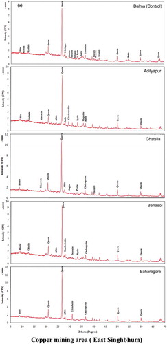 Figure 4. (a) XRD of the atmospheric dust sample collected from copper mining area. (b) XRD of the atmospheric dust sample collected from iron mining area