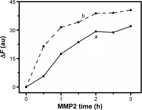 Figure 7 Time optimization of probes for MMP2 detection.Notes: Effect of reaction time on the fluorescence change of the c-nGO/Pep-FITC (a) and nrGO/Pep-FITC (b) probes (100 nM) reacting with MMP2 (0.28 nM) in TCNB buffer at 37°C.Abbreviations: c-nGO, carboxylated nano-graphene oxide; Pep-FITC, fluorescein isothiocyanate-labeled peptide; nrGO, reduced nano-graphene oxide; MMP2, matrix metalloproteinase 2; TCNB, Tris (50 mM), CaCl2 (10 mM), NaCl (150 mM), and Brij 35 (0.05%) (pH 7.5); ΔF, changeable fluorescence intensity; au, arbitrary unit; h, hours.