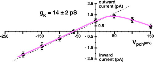 Figure 3. F127V single channel current-voltage curve for cell-attached patch recordings similar to fig 4A. The pipette contained 10 mM K, 0 Ca. Oocytes with a nominal internal [K] of 100 mM were depolarized to near zero potential by 100 mM K in the bath. Average single channel conductance (gK) = 14 ± 2pS (n = 5 oocytes) for inward currents (dashed line), and Erev = −60 mV for a 10 fold inside/outside K gradient.