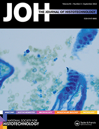Cover image for Journal of Histotechnology, Volume 45, Issue 3, 2022