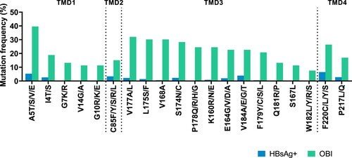 Figure 1. High-frequency mutations in four TMDs of genotype B OBI sequences. Mutations between OBI and HBsAg+ control groups were examined using Fisher's exact test (two-sided). Mutations were statistically appeared with high-frequency in the OBI group including 5 sites in TMD1 (the 4th, 5th, 7th, 10th, and 14th sites), 1 site in TMD2 (the 85th site), 12 sites in TMD3 (the 160th, 164th, 167th, 168th, 174th, 175th, 177th, 178th, 179th, 181th, 182th, and 184th sites), and 2 sites in TMD4 (the 217th and 220th sites). Each site may be substituted with various amino acids. The positions of four TMDs: TMD1 (4–24 aa), TMD2 (80–98 aa), TMD3 (160–193 aa), and TMD4 (202–222 aa).